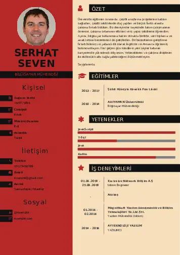 Bilgisayar Mühendisi CV Örnekleri cv indir